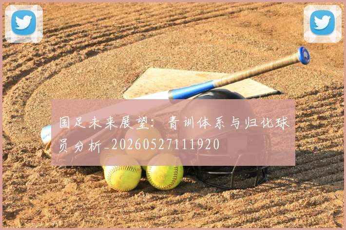 国足未来展望:青训体系与归化球员分析_20260527111920